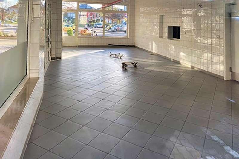 Gewerbeobjekt Heidenau - 475&euro; | Angebot:19507656