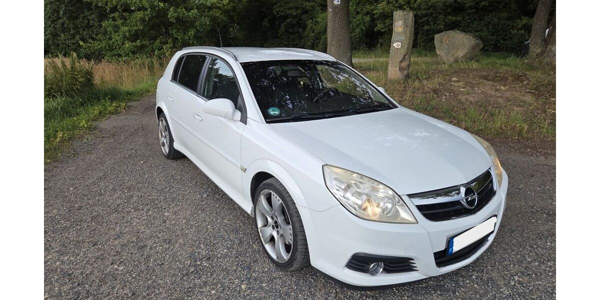 Opel Signum 218.000 km 3.000 &euro; Neukirch 01904