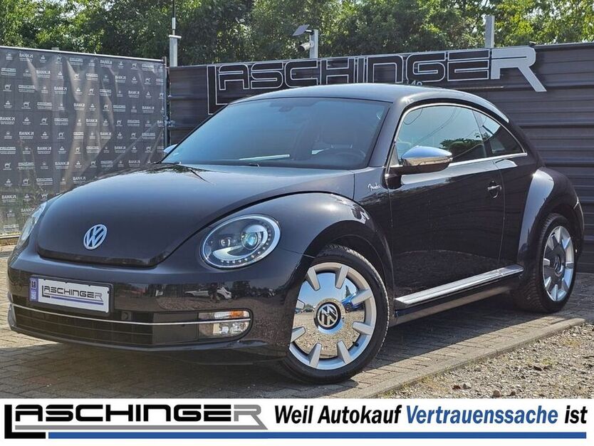 Beetle