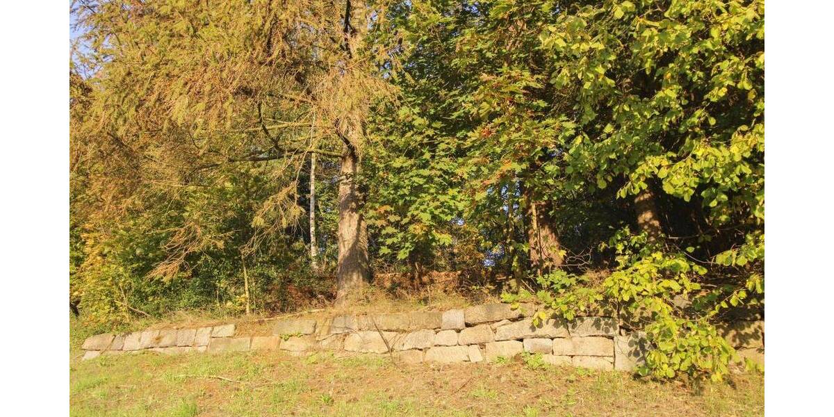 Grundstück Sebnitz - 30.000&euro; | Angebot:26789889