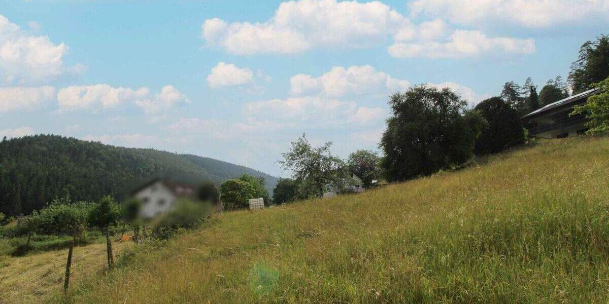 Grundstück Bad Wildbad Sprollenhaus - 124.500&euro; | Angebot:25167852