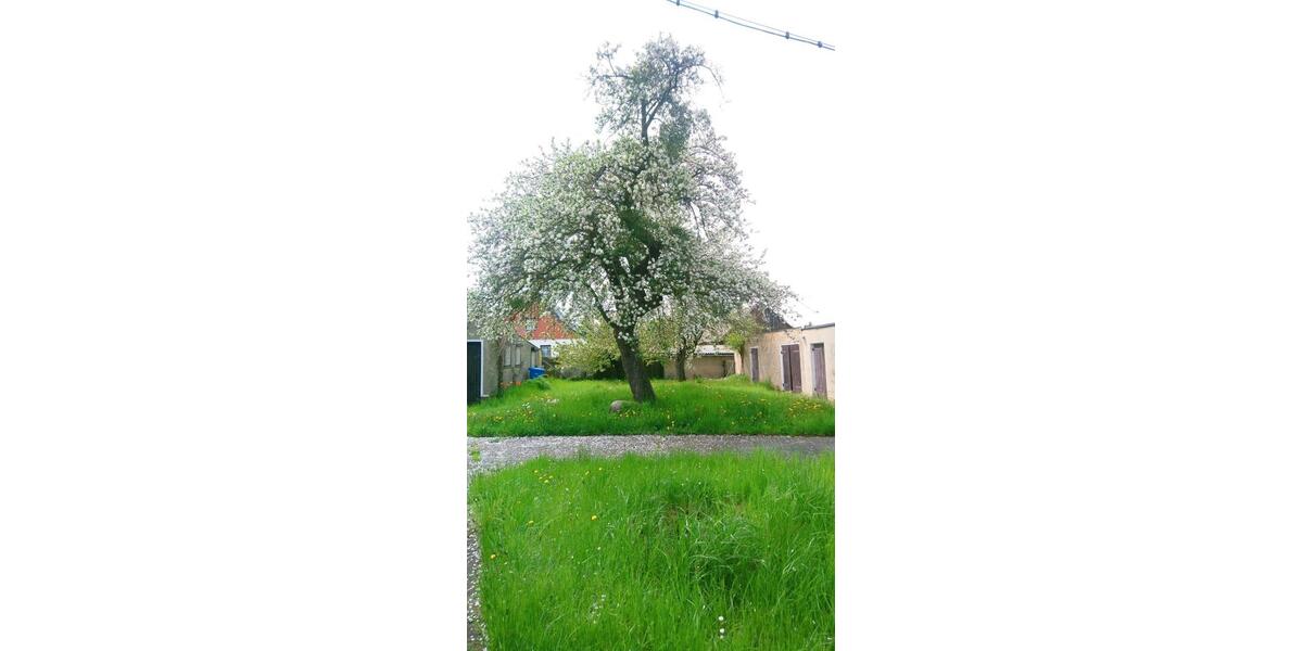 Einfamilienhaus Oberbarnim - 3 Zimmer, 120 m&sup2;, 275.000&euro; | Angebot:19991010