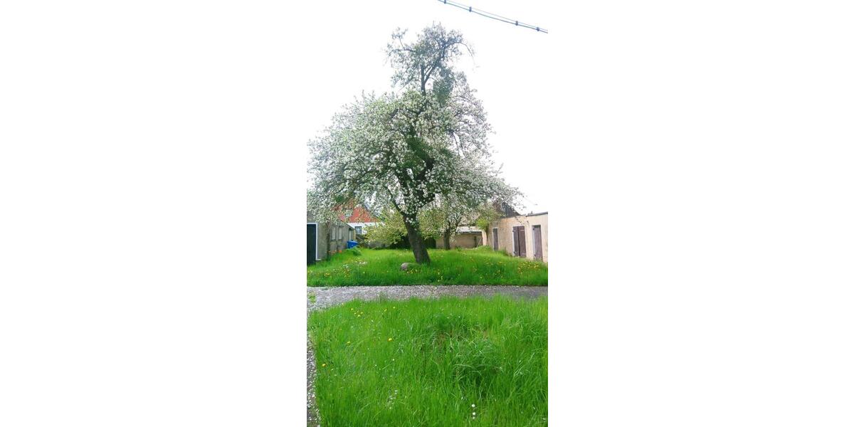 Einfamilienhaus Oberbarnim - 3 Zimmer, 120 m&sup2;, 278.500&euro; | Angebot:19991010
