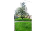 Einfamilienhaus Oberbarnim - 3 Zimmer, 120 m&sup2;, 278.500&euro; | Angebot:19991010