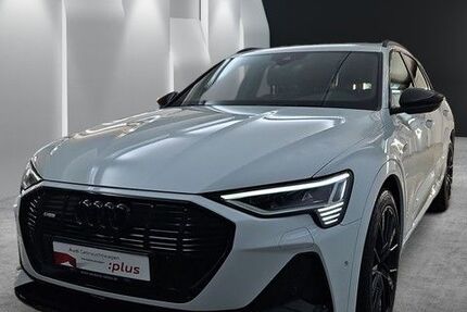 Audi e-tron 30.015 km 57.890 &euro; Speyer 67346