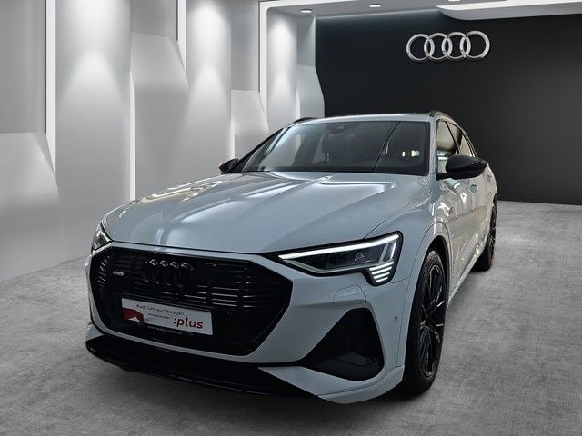 Audi e-tron 30.015 km 57.890 &euro; Speyer 67346