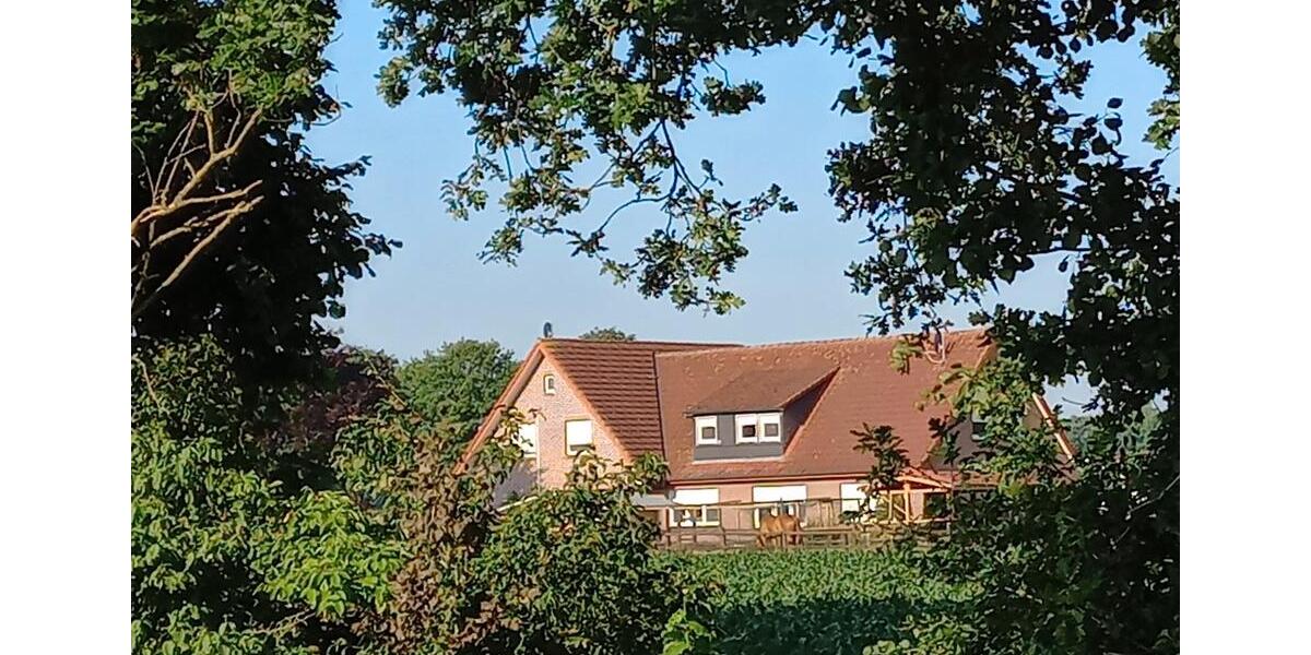 Mehrfamilienhaus, Wohnhaus Emlichheim - 11 Zimmer, 300 m&sup2;, 795.000&euro; | Angebot:26844534