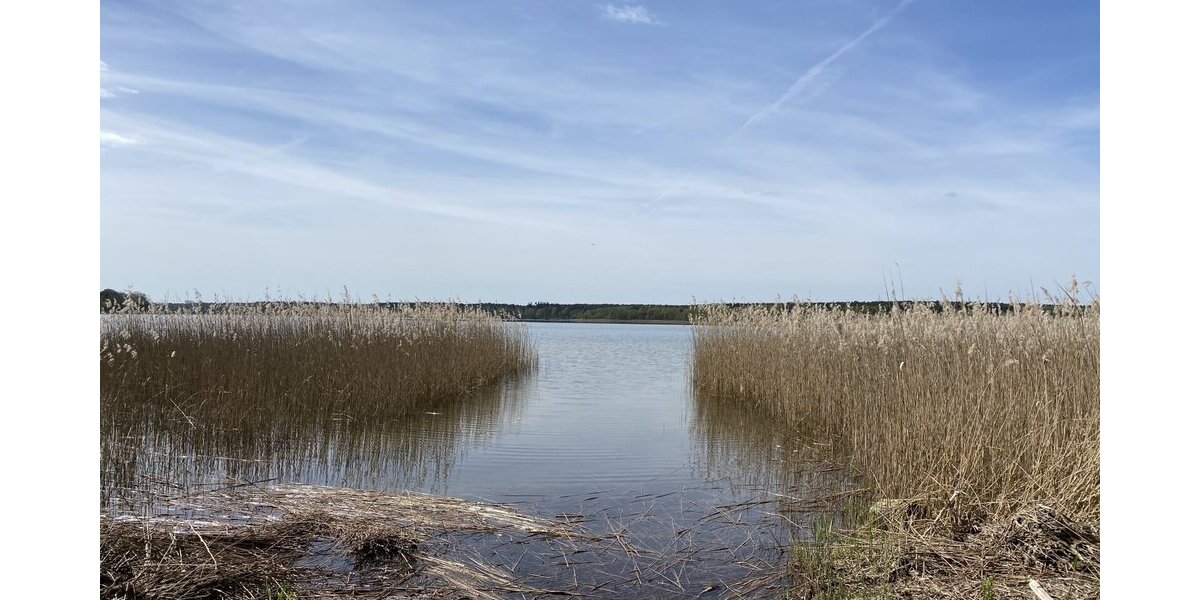 Ankommen und durchatmen: Ihr flexibles Rückzugsgebiet im Müritz-Nationalpark! - Einfamilienhaus Userin | Angebot:27169849