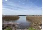 Ankommen und durchatmen: Ihr flexibles Rückzugsgebiet im Müritz-Nationalpark! - Einfamilienhaus Userin | Angebot:27169849