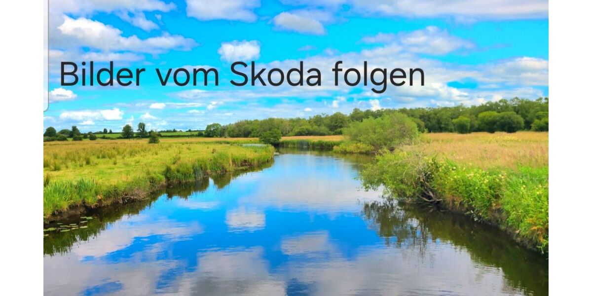 Skoda Fabia 84.000 km 5.000 &euro; Niefern-Öschelbronn-Öschelbronn 75223