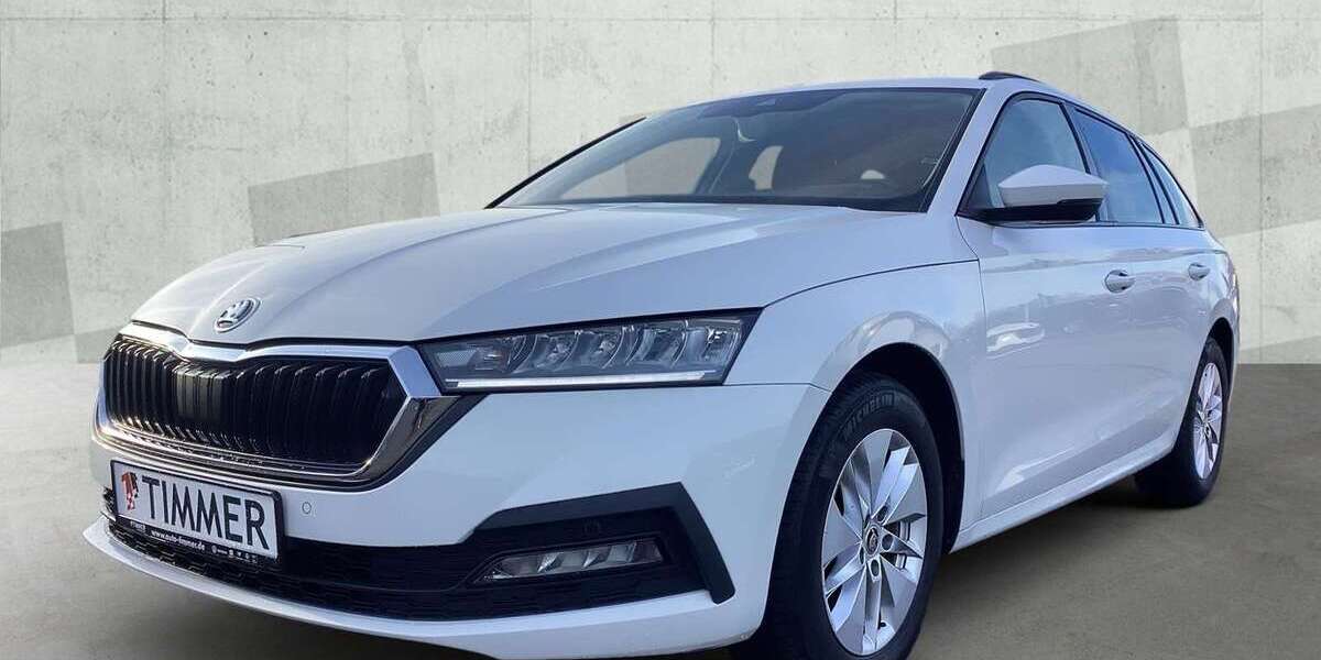 Skoda Octavia 97.823 km 19.890 &euro; Meppen 49716