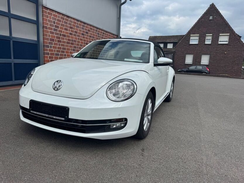 Beetle