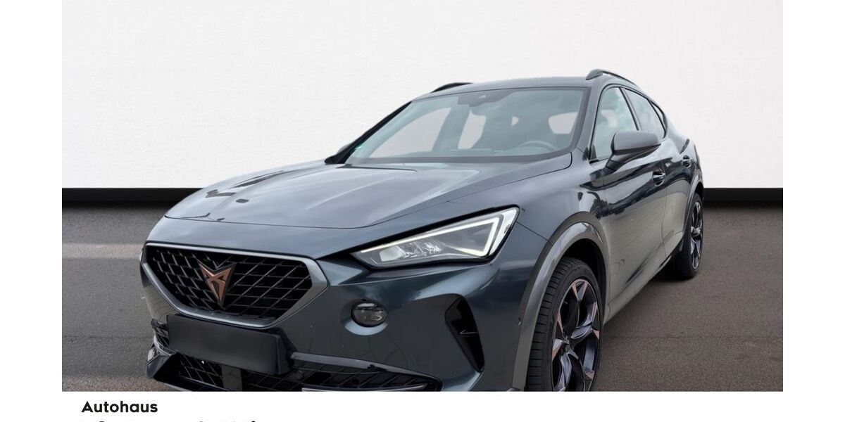 Cupra Formentor 70.415 km 28.490 &euro; Hutthurm 94116