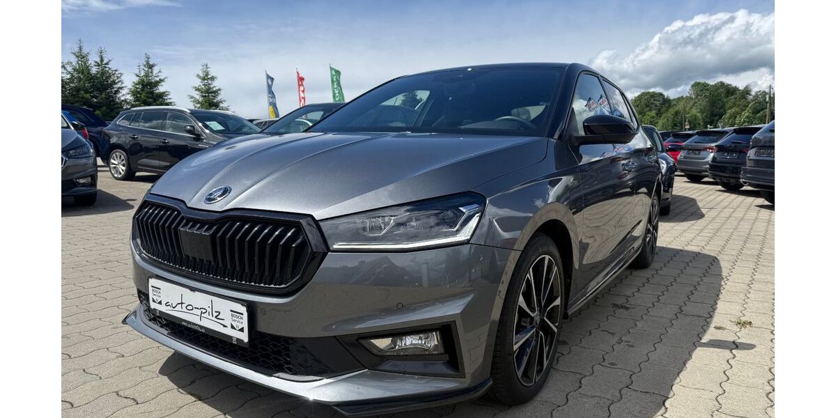 Skoda Fabia 8.891 km 22.390 &euro; Thermalbad Wiesenbad OT Schönfeld 09488