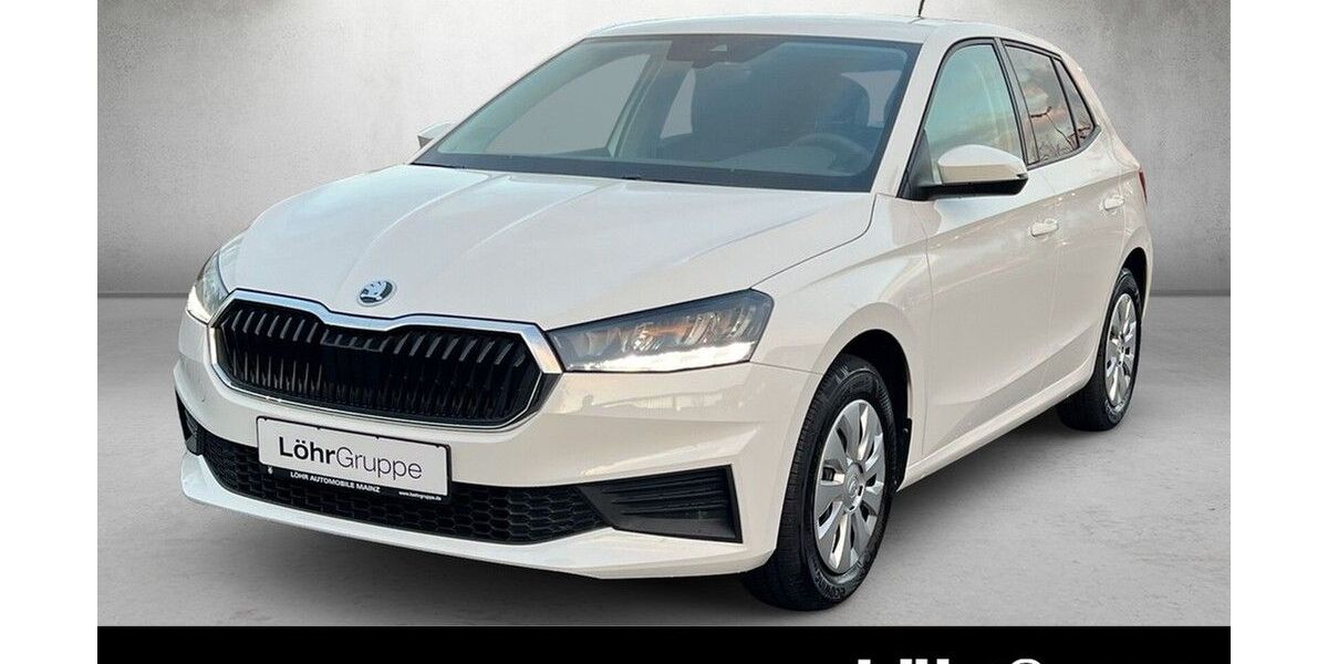 Skoda Fabia 13.439 km 16.780 &euro; Mainz 55120