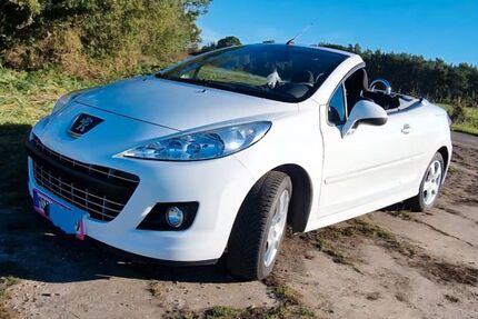 Peugeot 207 98.000 km 6.499 € Friedland 17098