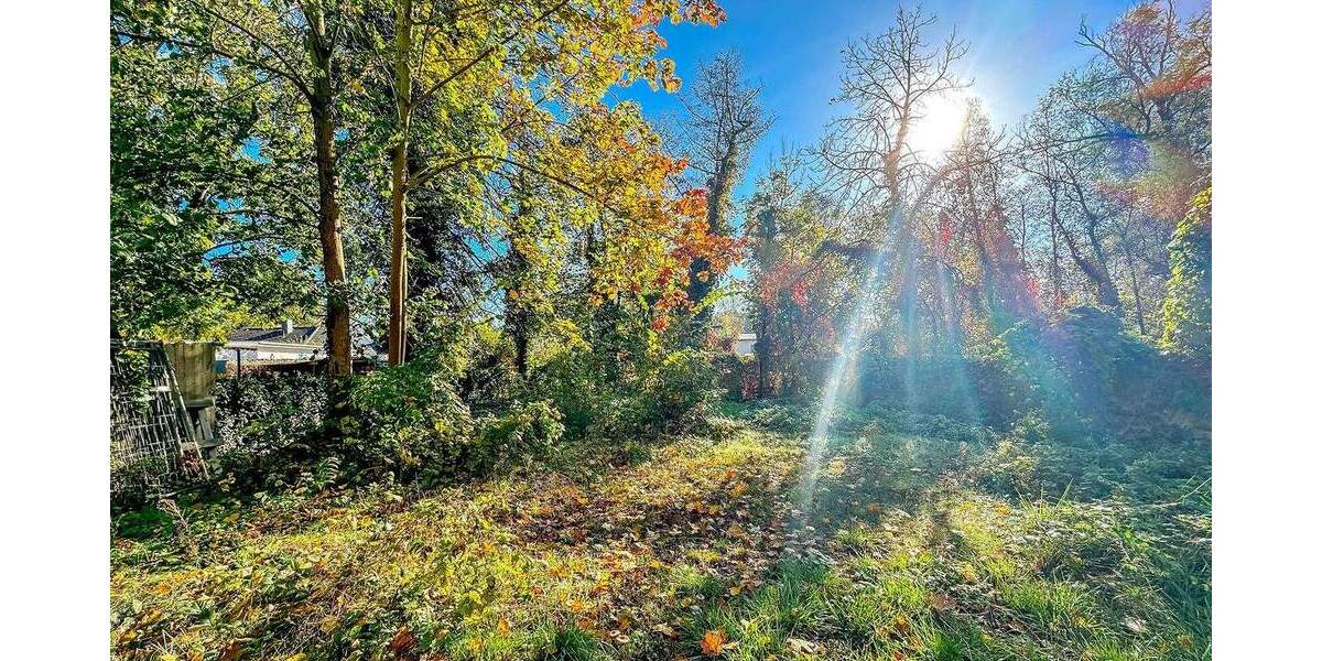 Grundstück Königs Wusterhausen Niederlehme - 300.000&euro; | Angebot:25663218
