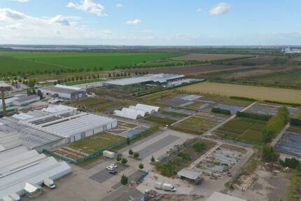 Grundstück Delitzsch - 972.000&euro; | Angebot:25939314