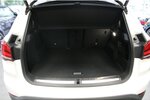 X1 xDrive20i Aut. xLine - Panorama - AHK -