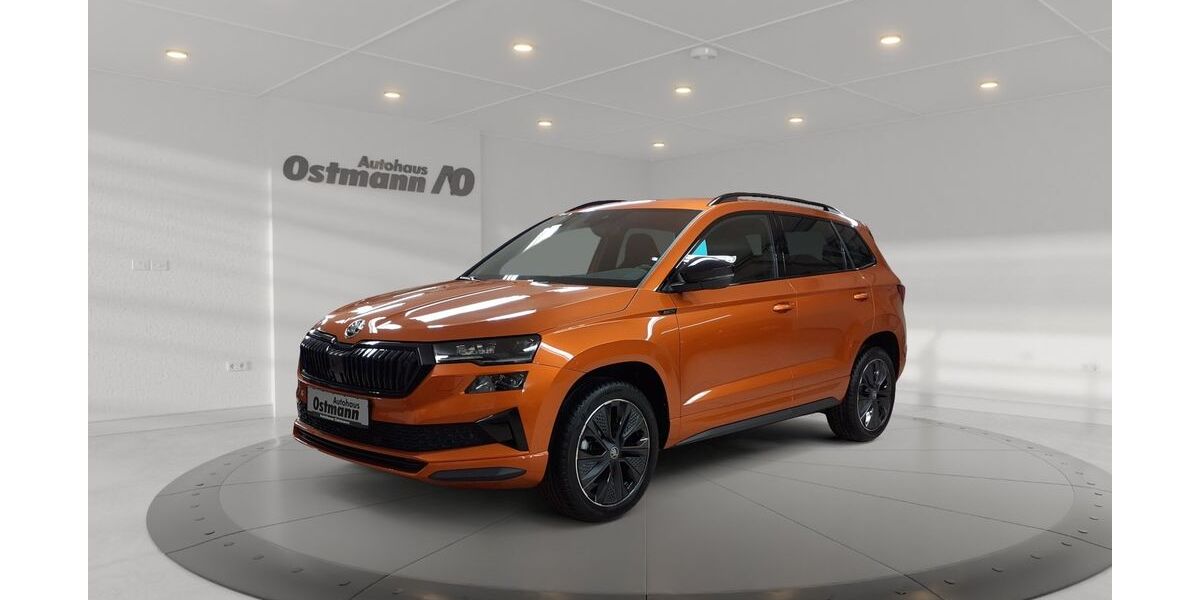 Skoda Karoq 2.500 km 39.930 &euro; Melsungen 34212