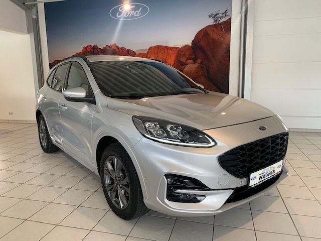 Kuga