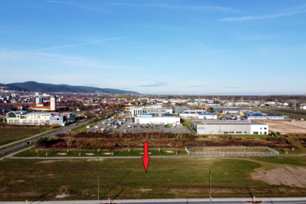 Grundstück in Neustadt an der Weinstraße 3.500.000 € 10125 m²