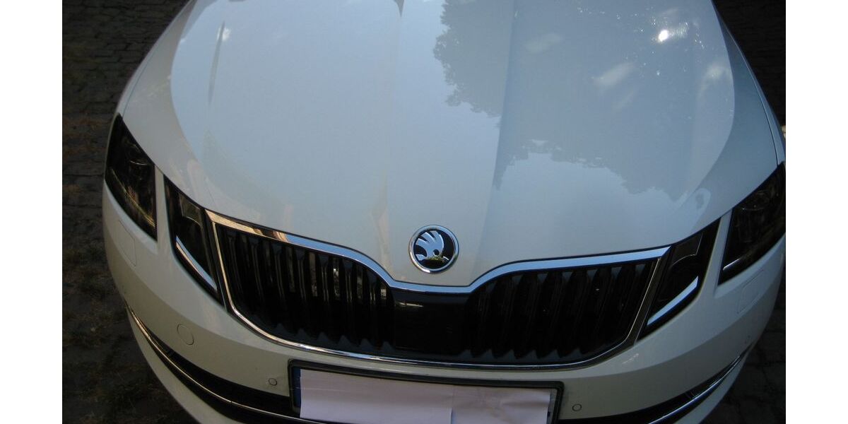 Skoda Octavia 148.850 km 15.200 &euro; Rheinzabern 76764