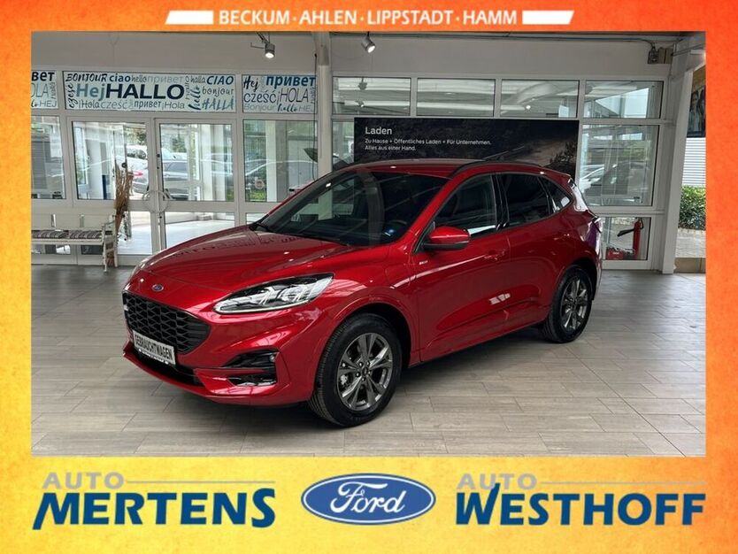 Kuga