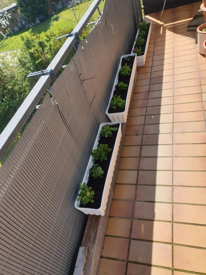 tolle helle 2 Zimmerwohnung m it Balkon in Detmold Mosebeck mit Garage