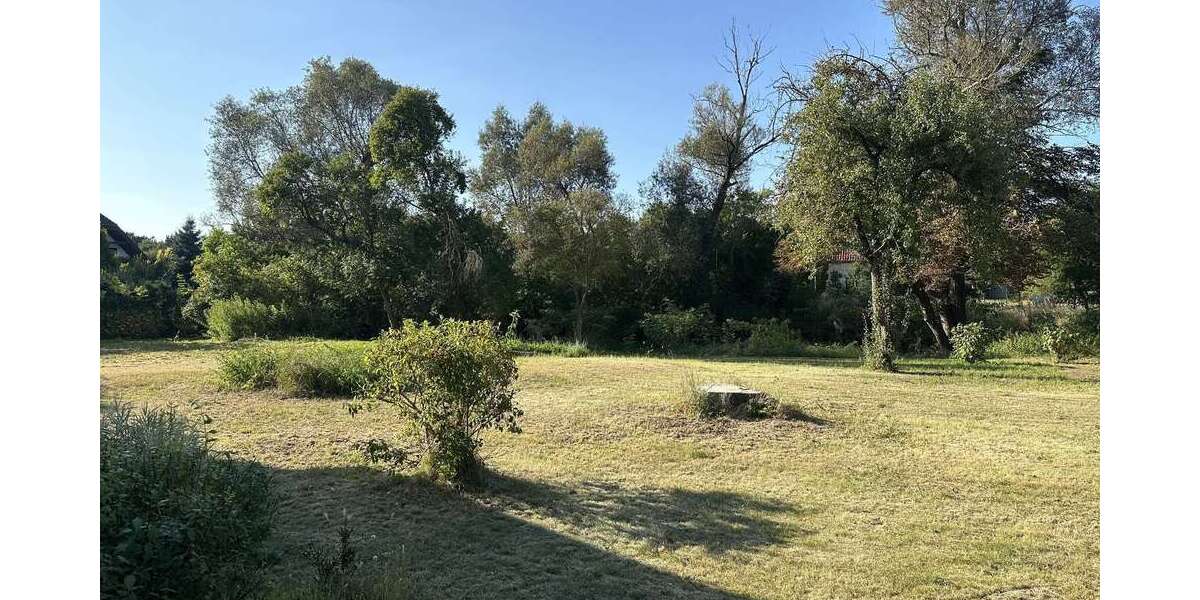 Grundstück zu verkaufen in Halbe 249.000 € 5535 m² zimmer