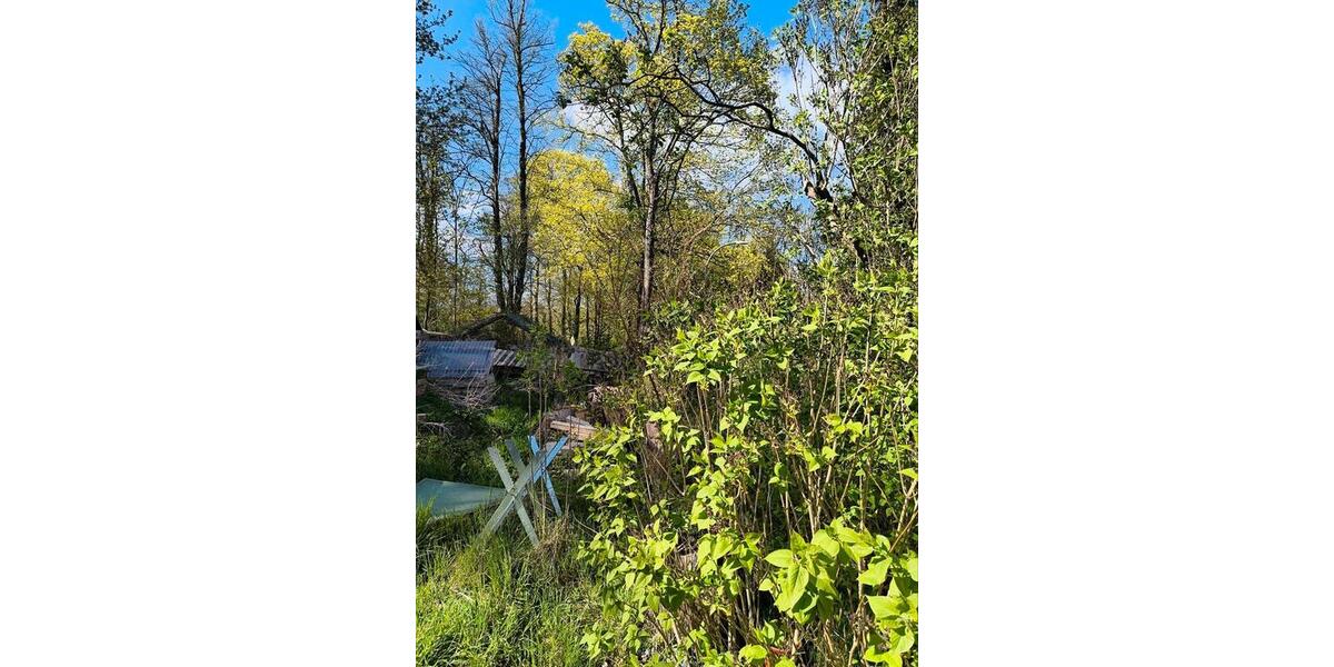 Doppelhaushälfte Waren (Müritz) - 4 Zimmer, 84 m&sup2;, 60.000&euro; | Angebot:26285327