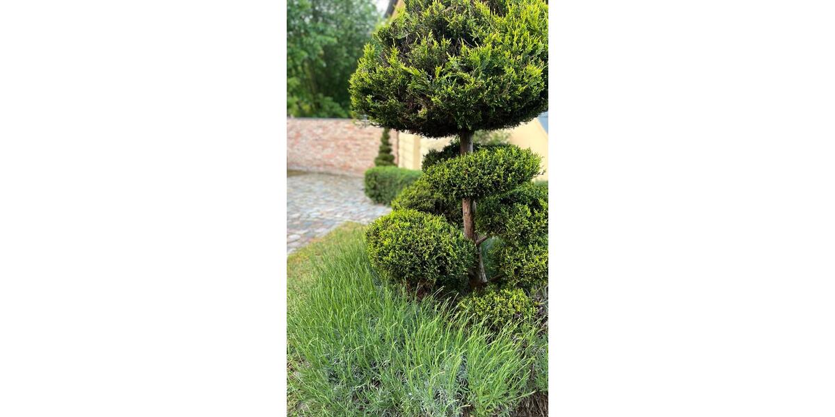 Hochparterre Wusterwitz - 2 Zimmer, 45 m&sup2;, 600&euro; | Angebot:26407381
