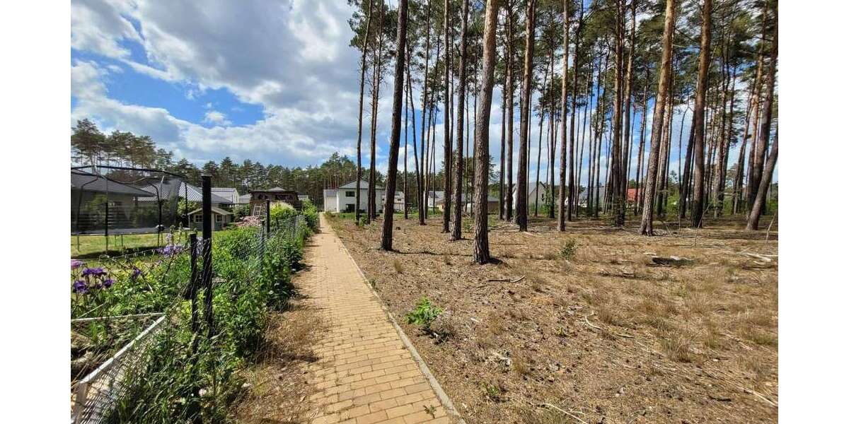Grundstück Borkwalde - 239.900&euro; | Angebot:26394673