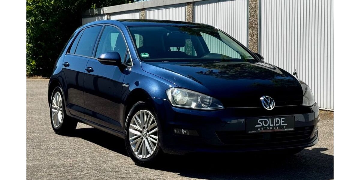 VW Golf 271.000 km 6.690 &euro; Schwarzenbek 21493