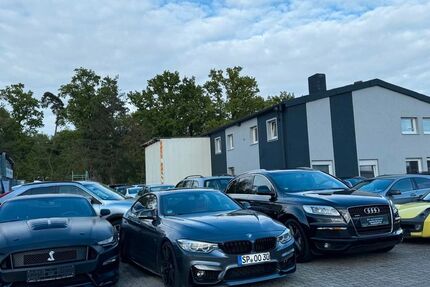 VW Golf 200.000 km 3.999 &euro; Speyer 67346