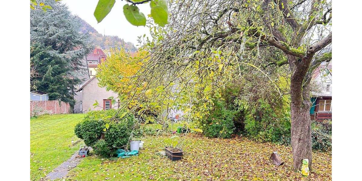 Gewerbeobjekt Marsberg Niedermarsberg - 580.000&euro; | Angebot:22491041