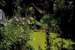 Einfamilienhaus Schiltberg - 7 Zimmer, 200 m&sup2;, 980.000&euro; | Angebot:26961275