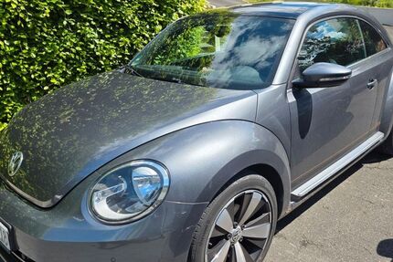 VW Beetle 144.614 km 6.500 &euro; Oerlinghausen 33813