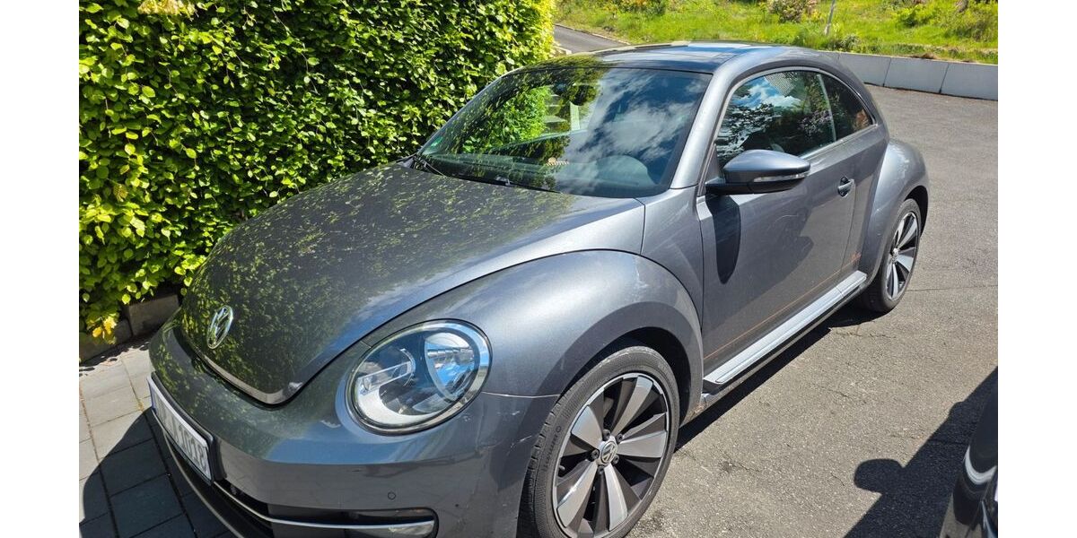 VW Beetle 144.614 km 6.500 &euro; Oerlinghausen 33813