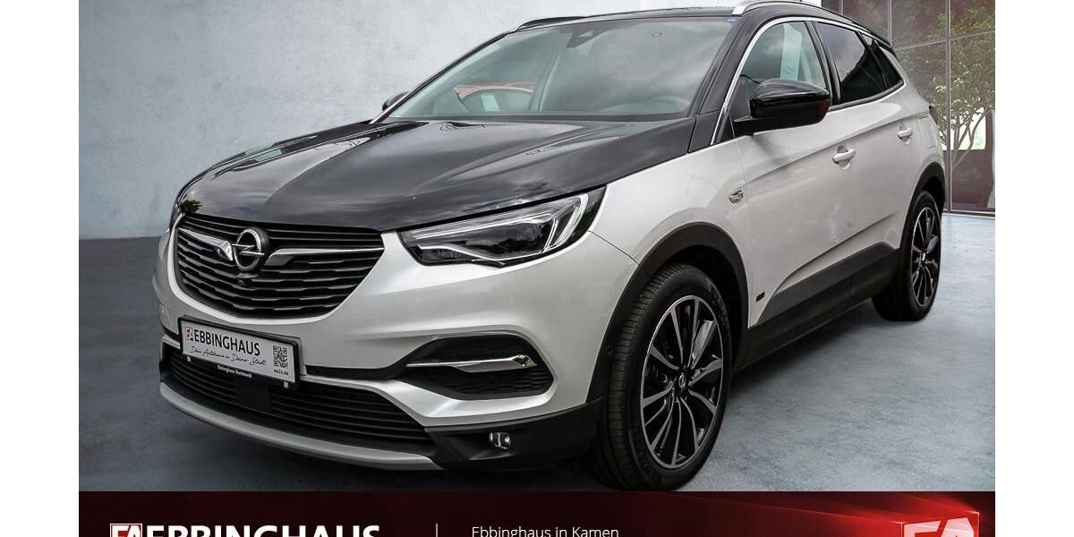 Opel Grandland (X) 47.033 km 26.999 &euro; Kamen 59174