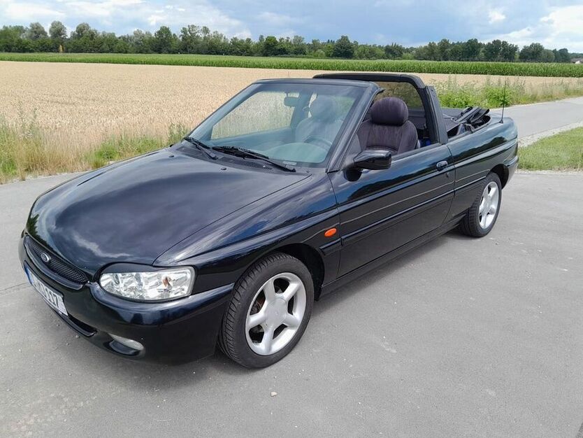Escort
