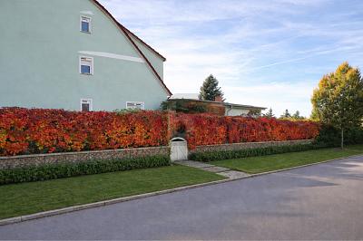 KEINE KÄUFERPROVISION FÄLLIG! - Doppelhaushälfte Templin | Angebot:25970995