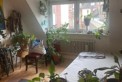 Einzimmerwohnung zur Zwischenmiete im Zentrum Freiburg 1 zimmer
