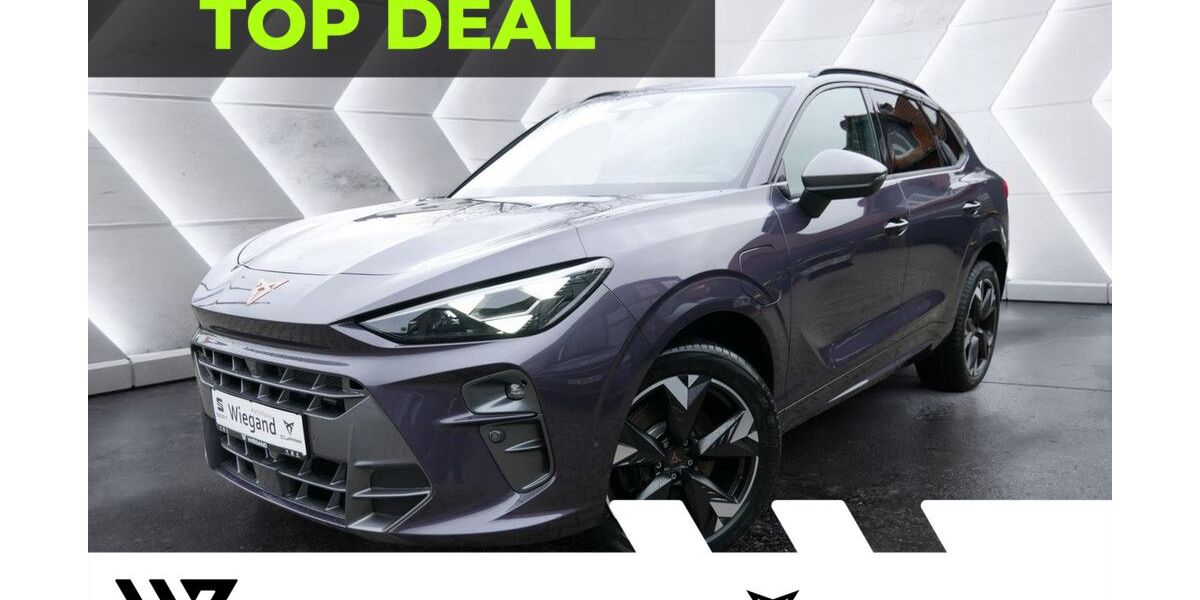 Cupra Terramar 7.500 km 45.697 &euro; Gelnhausen 63571