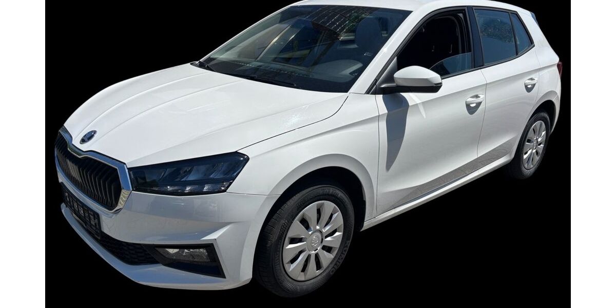 Skoda Fabia 1.081 km 16.490 &euro; Stutensee 76297