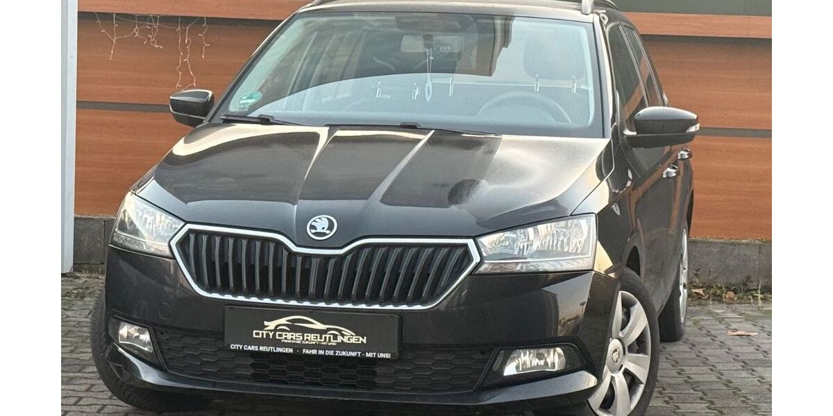 Skoda Fabia 105.000 km 8.280 &euro; Reutlingen 72766