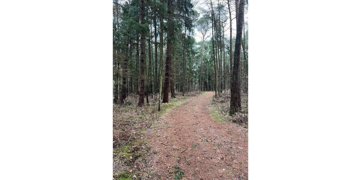 Grundstück Tostedt Todtglüsingen - 189.000&euro; | Angebot:26276462
