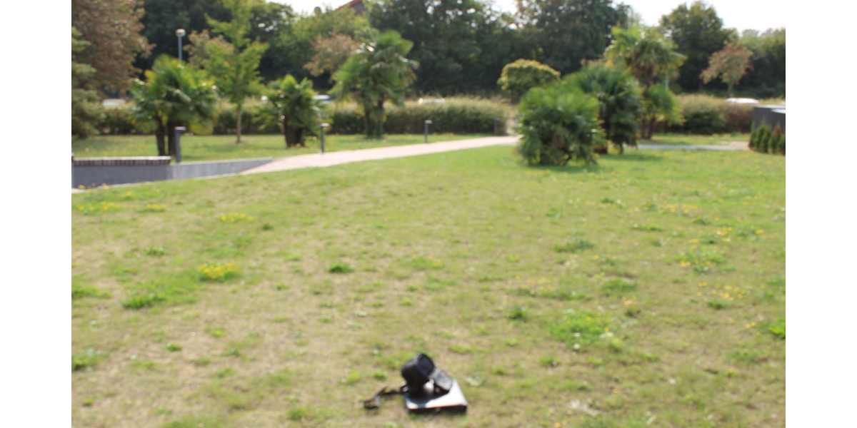 Erstklassige Ferienwohnung in 23968 Hohen Wischendorf 1 zimmer