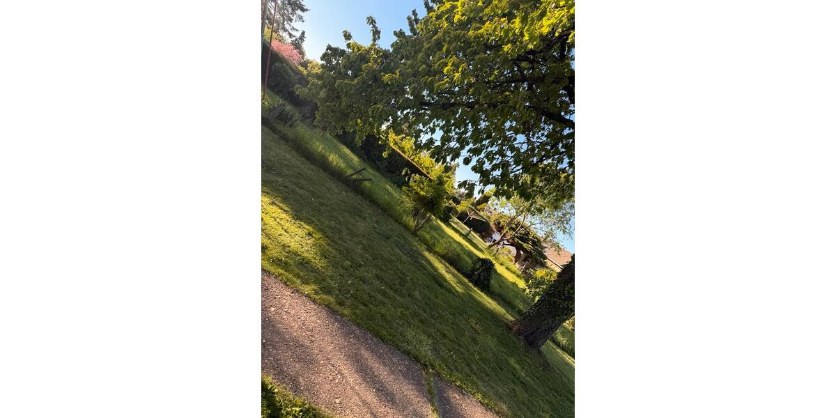 Grundstück Düren Mariaweiler-Hoven - 220&euro; | Angebot:26521193