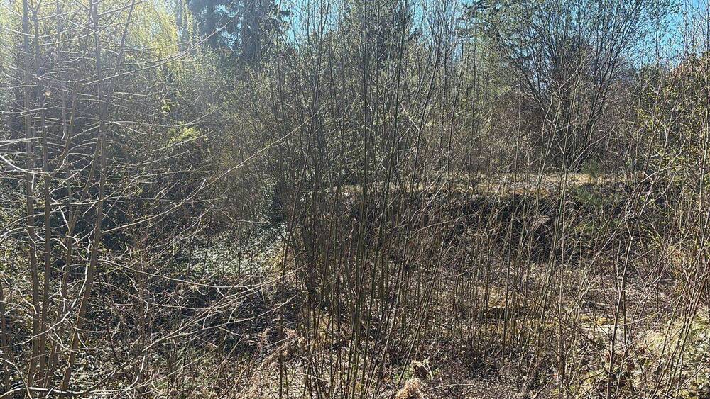 Grundstück Naumburg (Saale) Naumburg - 300.000&euro; | Angebot:26310461